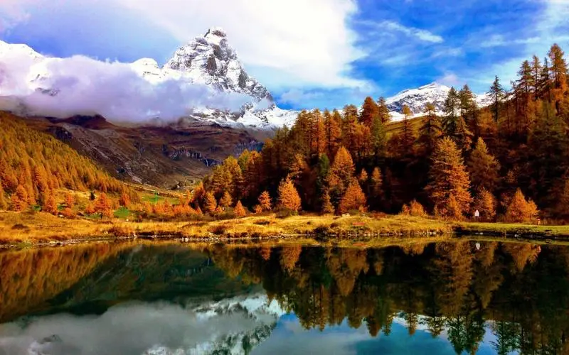 创新绿色